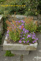 Great Dixter